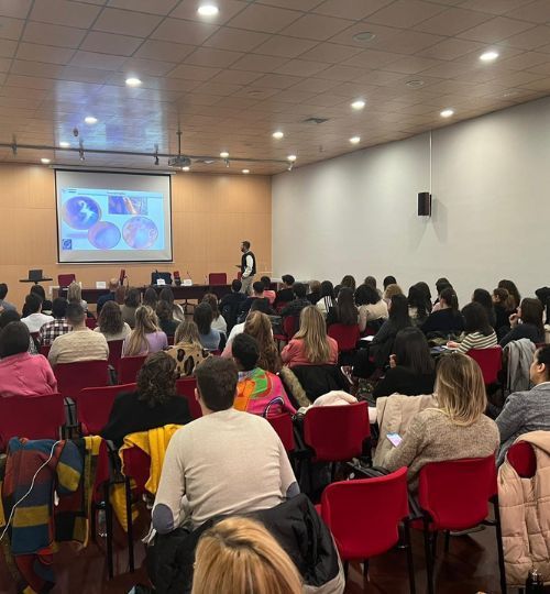 ASI ESTABA LA SALA 500 X 540 (3)
